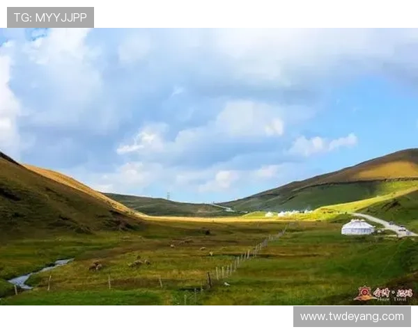 会泽体育联赛（会泽电视台直播公示）sports